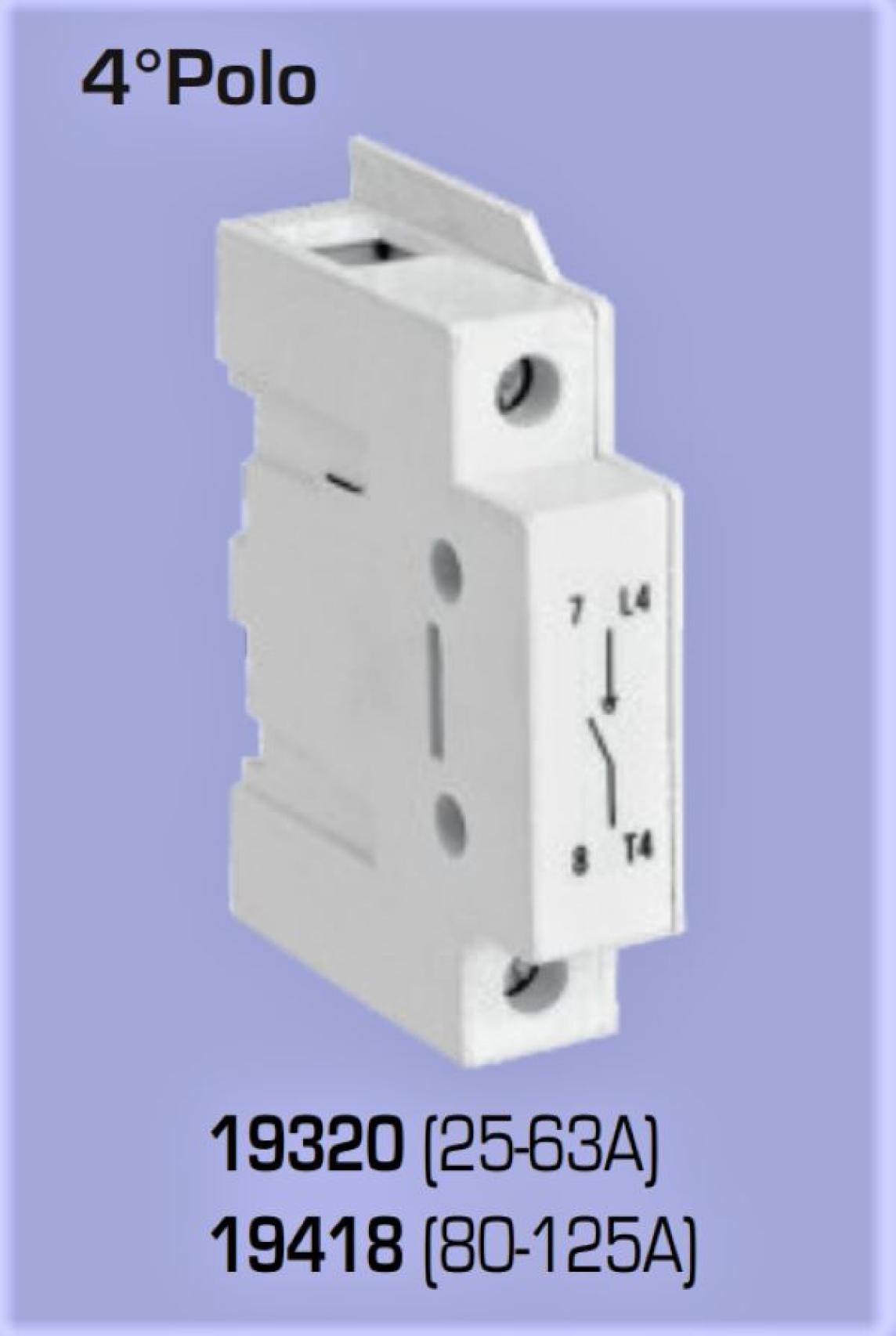 325.006 - 19418 CUARTO POLO // 325.006 - 19418