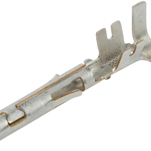 CONTACTOS // CH-1_PACKX50U