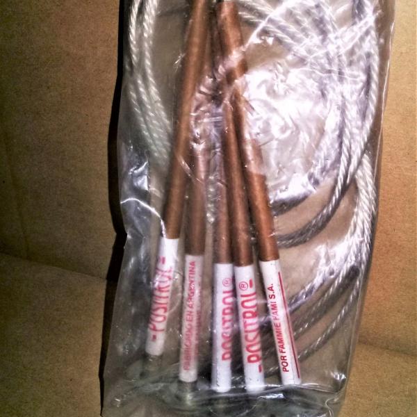 FUSIBLE MEDIA TENSION // POSITROL 10A