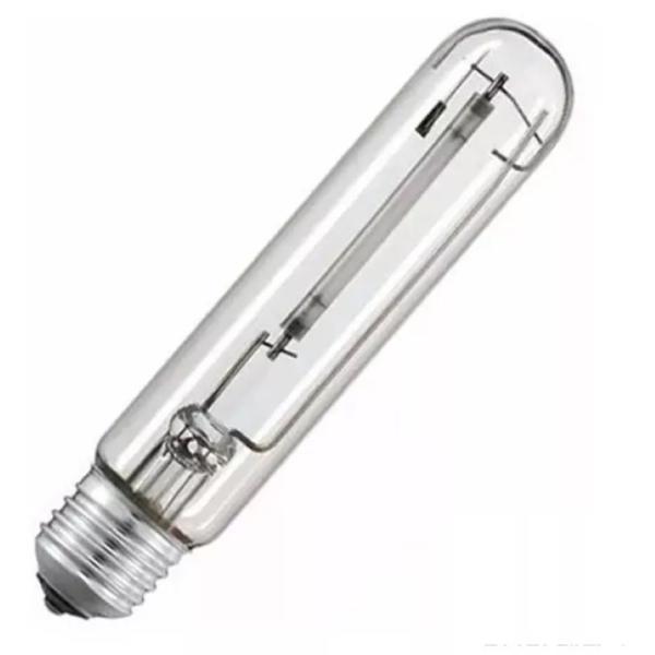 LAMP. SOX // SOX1031