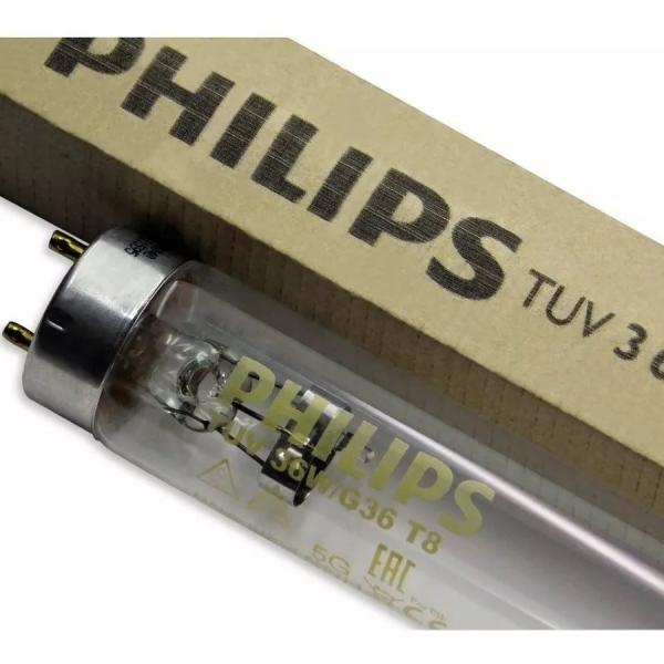 TUBO FLUORESCENTE 36W // TF2006